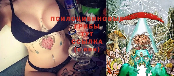 МДПВ Алексин