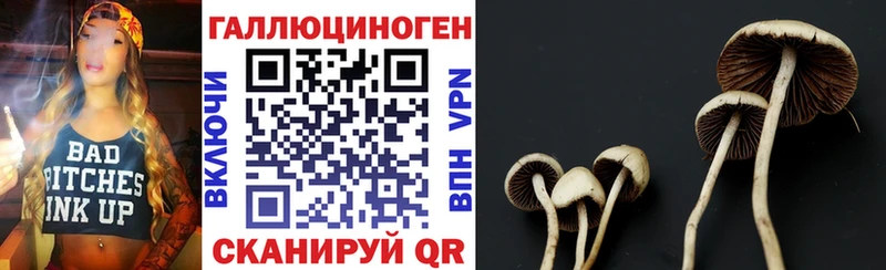 Купить  Тавда  Псилоцибиновые грибы мицелий 